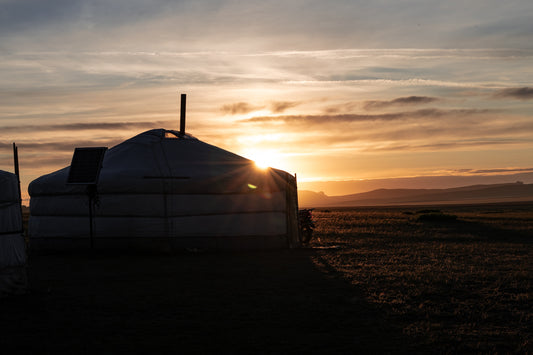 Mongolian Experience