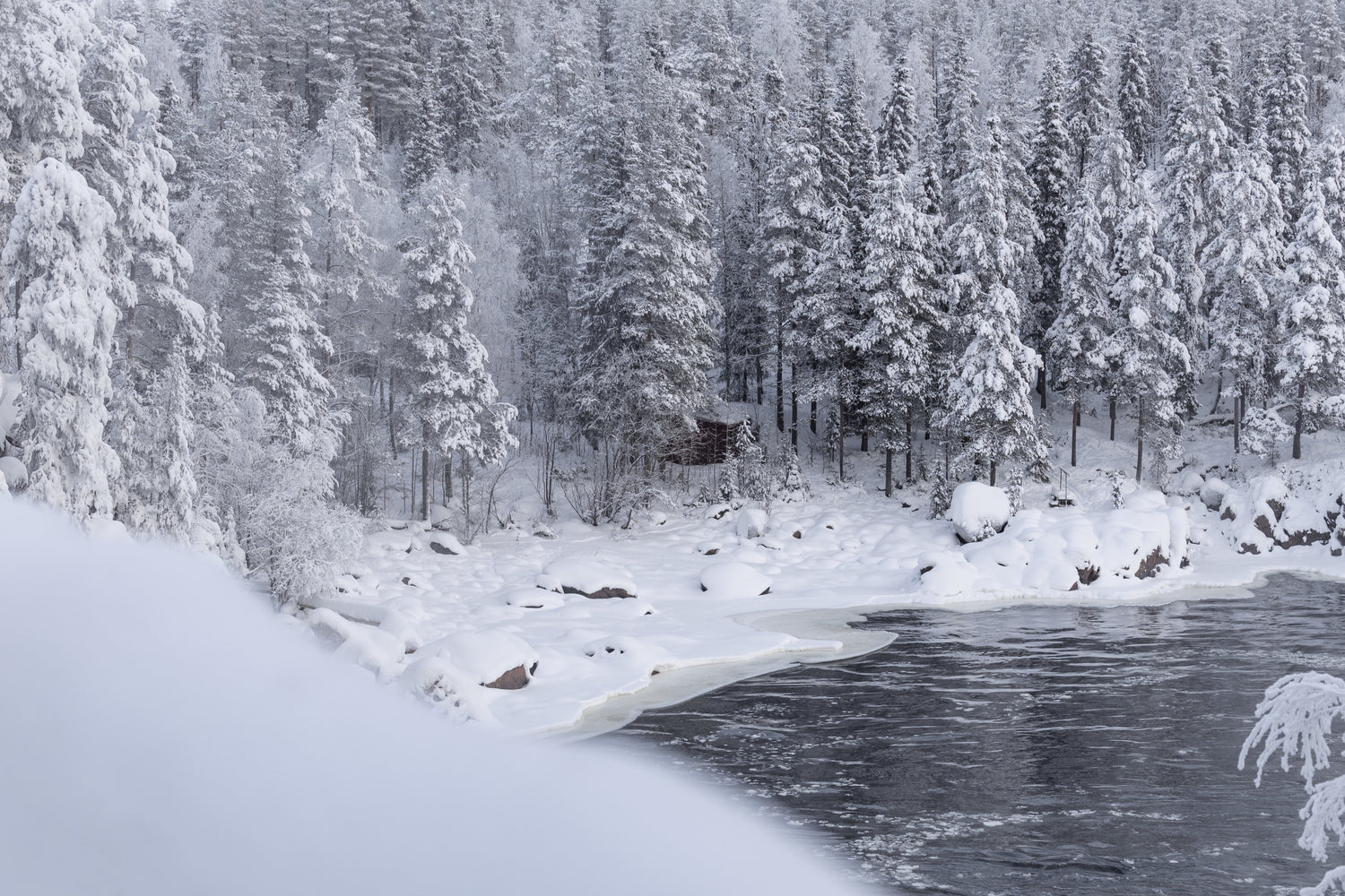 Winter in the Arctic